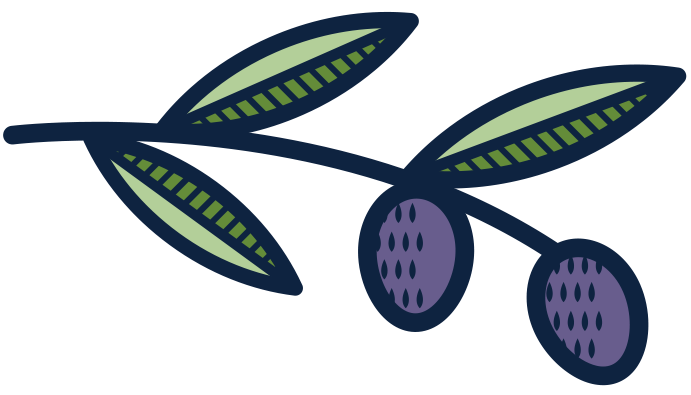 Cypressa